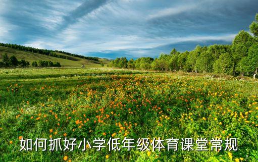 如何抓好小学低年级体育课堂常规