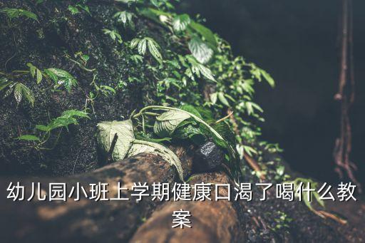 幼儿园教案怎么写小班上学期，小班幼师教案怎么写