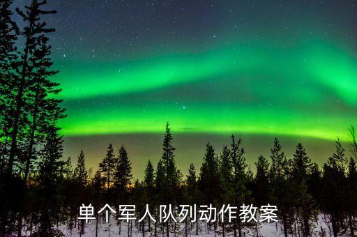 单个军人队列动作教案