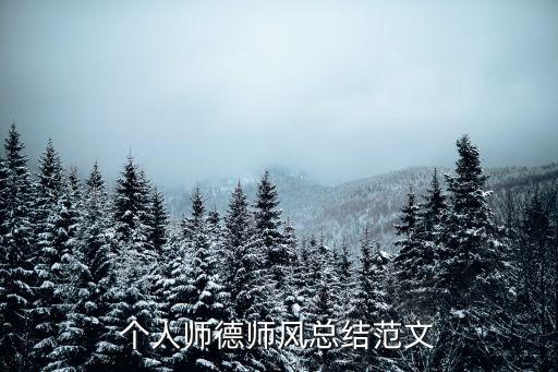 个人师德师风总结范文