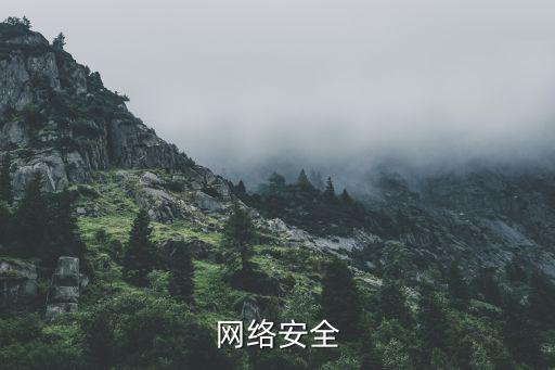 网络安全