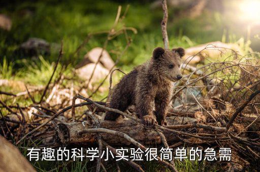 有趣的科学小实验很简单的急需