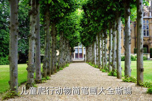 儿童爬行动物简笔画大全蜥蜴
