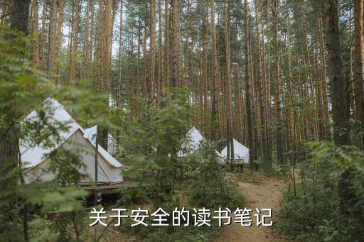 关于安全的读书笔记