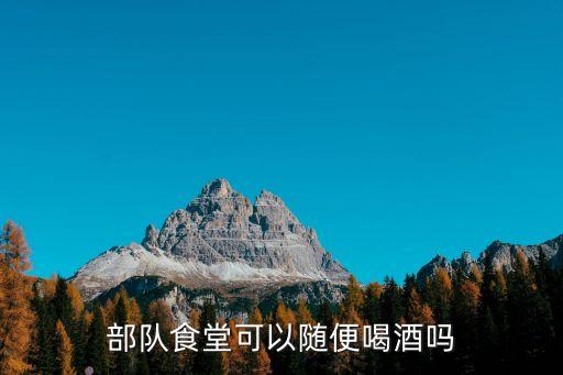 部队食堂可以随便喝酒吗