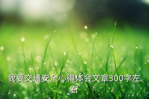 我要交通安全心得体会文章300字左右