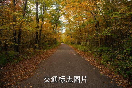 交通标志图片