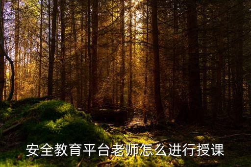 安全教育平台老师怎么进行授课