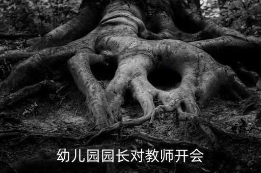 幼儿园园长对教师开会