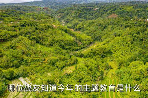 哪位战友知道今年的主题教育是什么