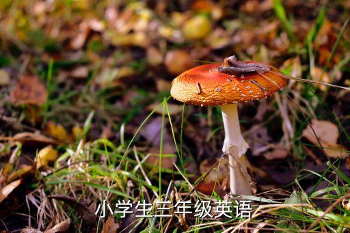 小学三年级英语，小学生三年级英语