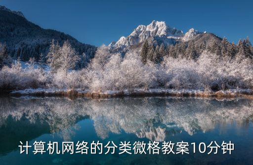 计算机网络的分类微格教案10分钟