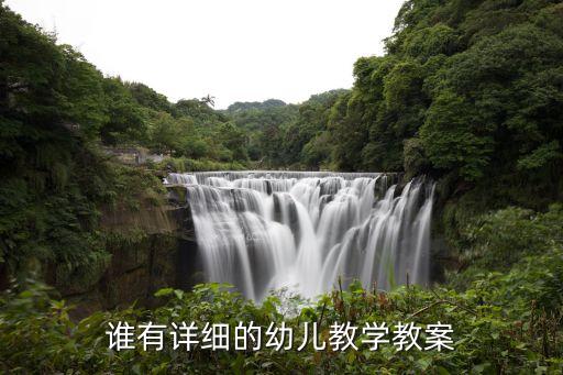 谁有详细的幼儿教学教案