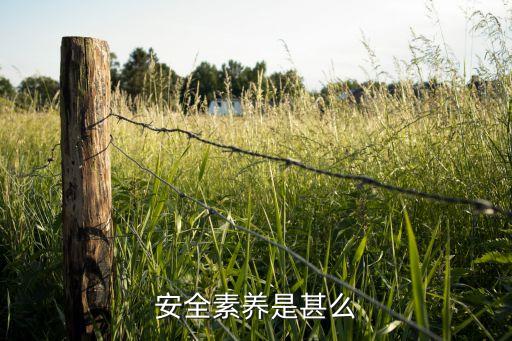 安全素养是甚么