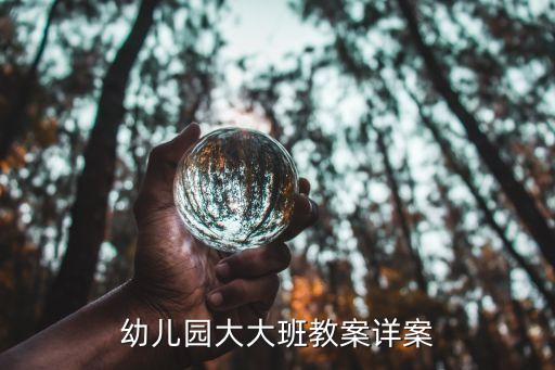 幼儿园大大班教案详案