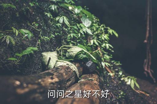 问问之星好不好