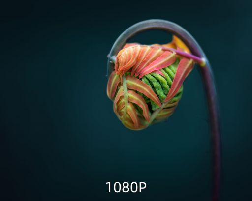 1080P