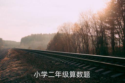 小学二年级算数题