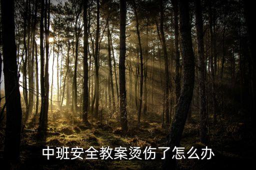 中班安全教案烫伤了怎么办