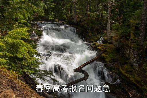 春季高考报名问题急