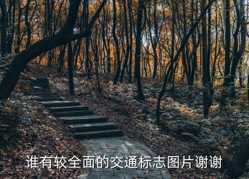 谁有较全面的交通标志图片谢谢