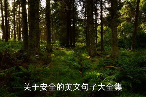 安全知识英语句子，英语作文5句话安全知识讲座为题的notice