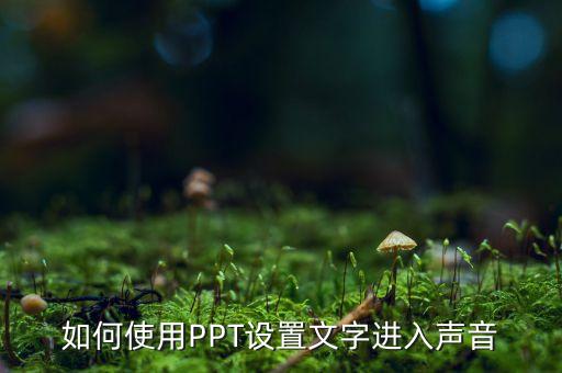 如何使用PPT设置文字进入声音