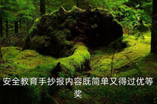 安全教育手抄报内容既简单又得过优等奖