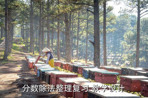 分数除法整理复习 教学设计