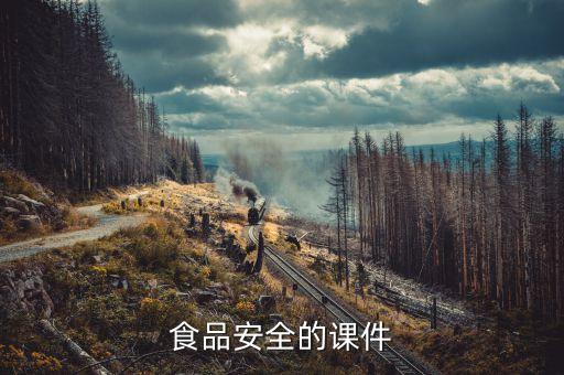 食品安全教育课教案，食品安全的课件