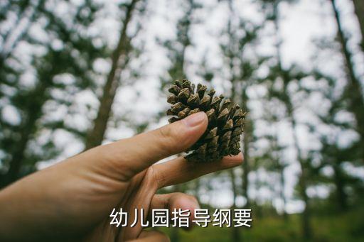 幼儿园指导纲要