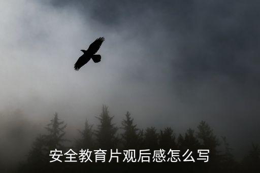 安全教育片观后感怎么写