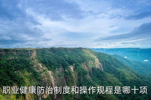 职业健康防治制度和操作规程是哪十项