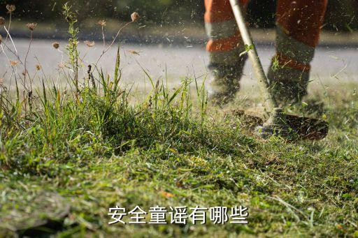 安全童谣有哪些