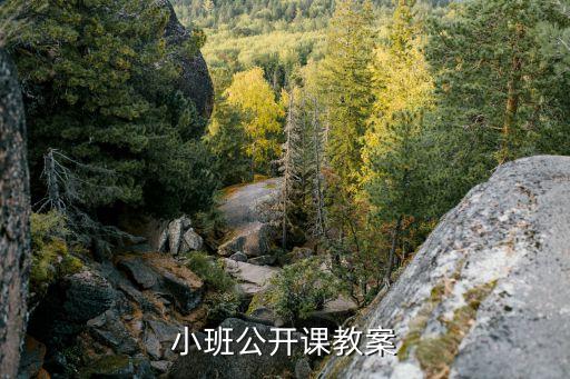 小班公开课教案