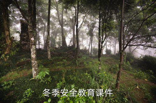 冬季安全教育课件