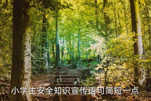 小学生安全知识宣传语句简短一点