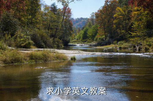 求小学英文教案