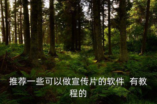 用什么软件制作幼儿园宣传片，推荐一些可以做宣传片的软件  有教程的