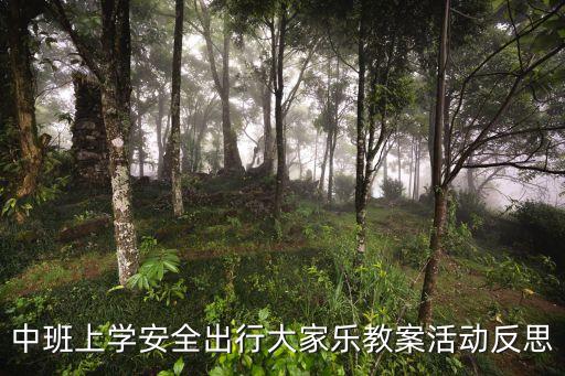 幼儿园中班交通安全教案总结，中班上学安全出行大家乐教案活动反思