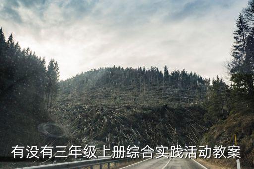 小学综合实践课优秀教案，小学综合实践 教案