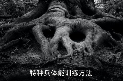 部队基础体能教案大全，入伍新兵详细体能训练
