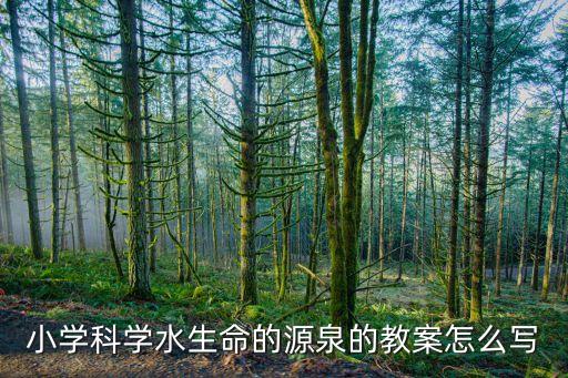 小学科学万能教案模板，我要看有关科学的教案