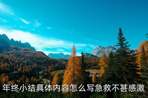 年终小结具体内容怎么写急救不甚感激