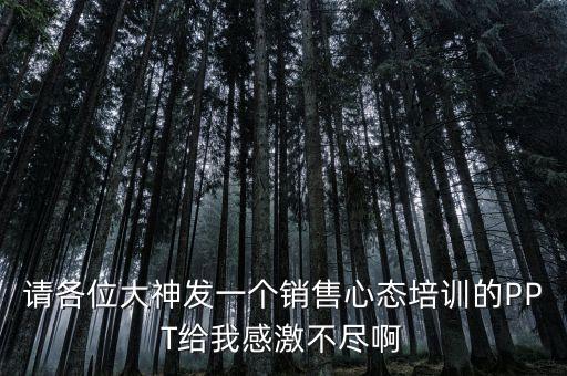 请各位大神发一个销售心态培训的PPT给我感激不尽啊