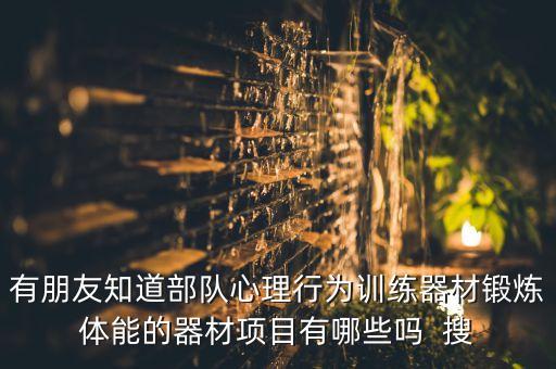 部队心理行为训练游戏，推荐几个军事专用训练游戏