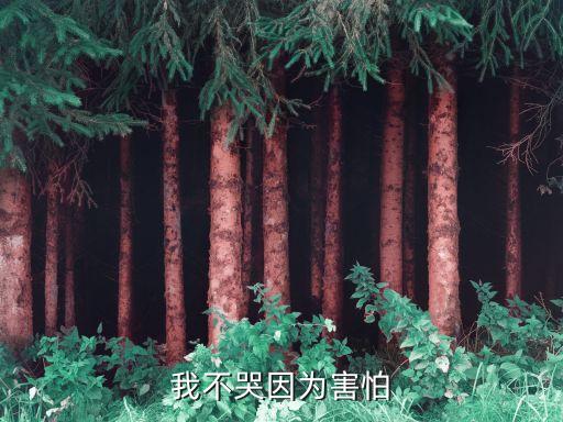 小班心理健康活动我不哭视频，托班我不哭教案反思