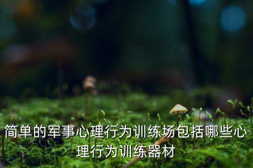 简单的军事心理行为训练场包括哪些心理行为训练器材