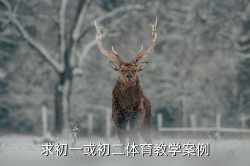 求初一或初二体育教学案例