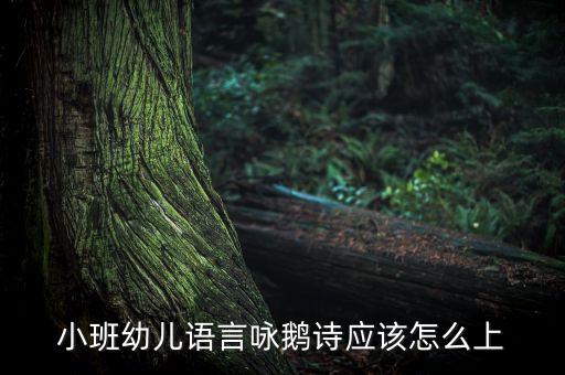 小班幼儿语言咏鹅诗应该怎么上